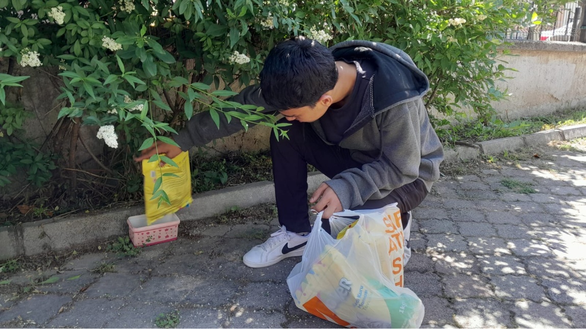 Sokak Hayvanlarına Mama Dağıtımı Etkinliği